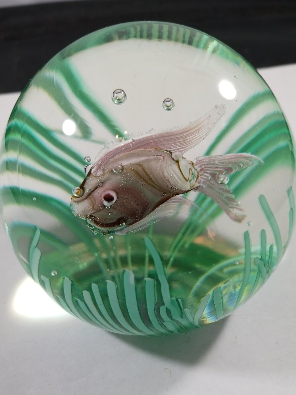 Vintage MURANO Italy Art Glass FRATELLI TOSO FISH AQUARIUM Paperweight - Picture 8 of 8